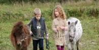 Майские с детьми: Шесть агроферм, где живут мини-пони, страусы, верблюды и ламы Отзывы на программу